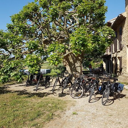 Villa Mas dans la campagne pour loisirs et télétravail Sarrians Exterior foto