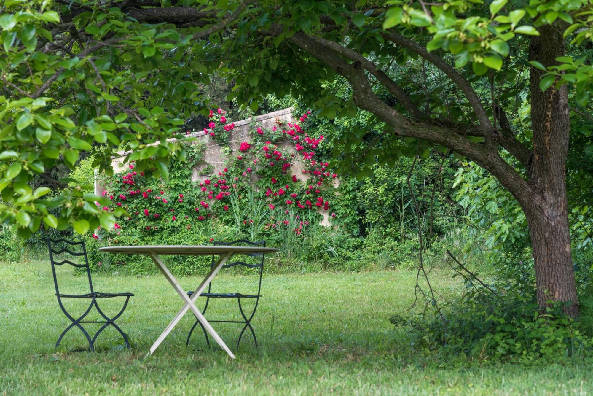 Villa Mas dans la campagne pour loisirs et télétravail Sarrians Exterior foto